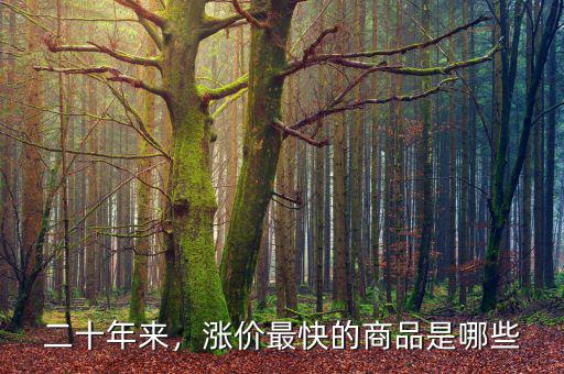 二十年來(lái)，漲價(jià)最快的商品是哪些