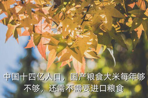 中國十四億人口，國產(chǎn)糧食大米每年夠不夠，還需不需要進口糧食