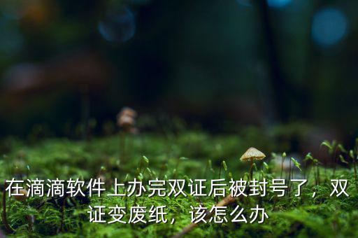 在滴滴軟件上辦完雙證后被封號了，雙證變廢紙，該怎么辦