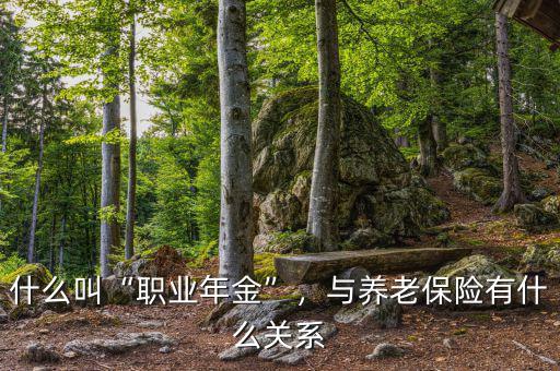 什么是養(yǎng)老保險頂層設(shè)計(jì)與探究,職工養(yǎng)老保險都指的什么
