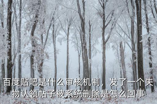 百度貼吧是什么審核機制，發(fā)了一個失物認領(lǐng)帖子被系統(tǒng)刪除是怎么回事