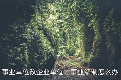 事業(yè)單位改企業(yè)單位，事業(yè)編制怎么辦