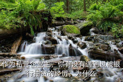 作為私營(yíng)企業(yè)主，你有沒(méi)有遇到過(guò)被銀行抽貸的經(jīng)歷，為什么