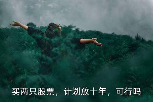 買兩只股票，計(jì)劃放十年，可行嗎