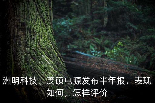洲明科技、茂碩電源發(fā)布半年報(bào)，表現(xiàn)如何，怎樣評價(jià)