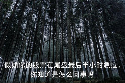 假如你的股票在尾盤最后半小時急拉，你知道是怎么回事嗎