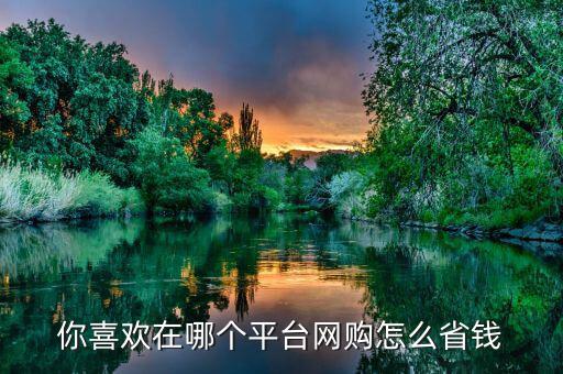 你喜歡在哪個(gè)平臺(tái)網(wǎng)購(gòu)怎么省錢