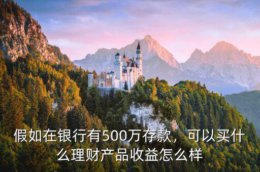 存款500萬(wàn)怎么理財(cái),500萬(wàn)現(xiàn)金流