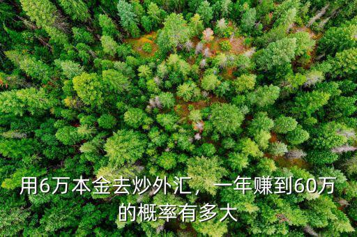 用6萬本金去炒外匯，一年賺到60萬的概率有多大