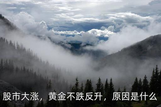 股市大漲，黃金不跌反升，原因是什么