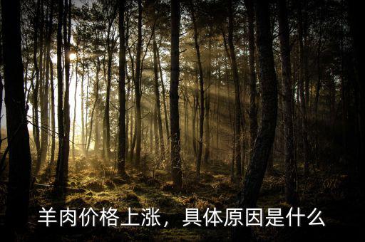 羊肉價(jià)格上漲，具體原因是什么