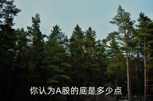你認(rèn)為A股的底是多少點