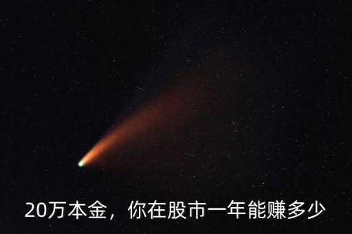 20萬本金，你在股市一年能賺多少