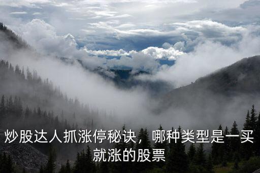 什么樣的股票一買(mǎi)就漲,在股市如何解除一買(mǎi)就漲