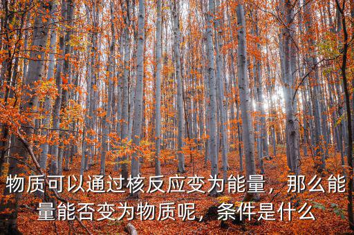 物質(zhì)可以通過核反應(yīng)變?yōu)槟芰?，那么能量能否變?yōu)槲镔|(zhì)呢，條件是什么