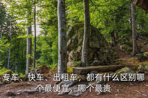 專車、快車、出租車，都有什么區(qū)別哪個最便宜，哪個最貴