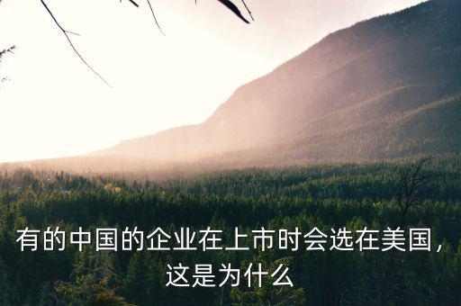 有的中國的企業(yè)在上市時(shí)會選在美國，這是為什么