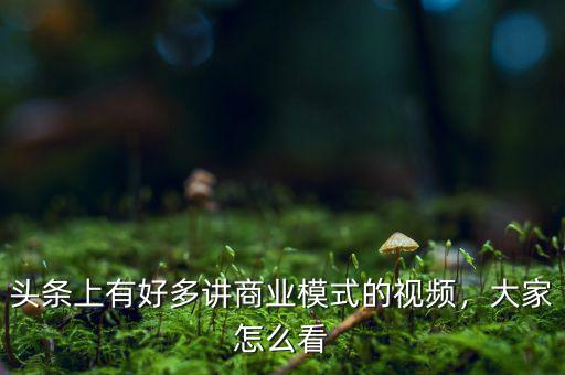 頭條上有好多講商業(yè)模式的視頻，大家怎么看