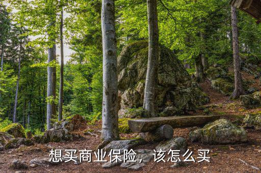 想買商業(yè)保險，該怎么買