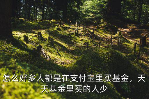 怎么好多人都是在支付寶里買基金，天天基金里買的人少