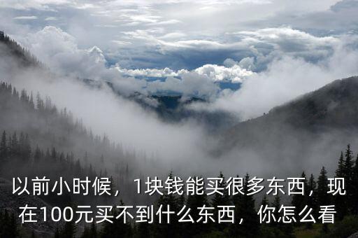 以前小時候，1塊錢能買很多東西，現(xiàn)在100元買不到什么東西，你怎么看