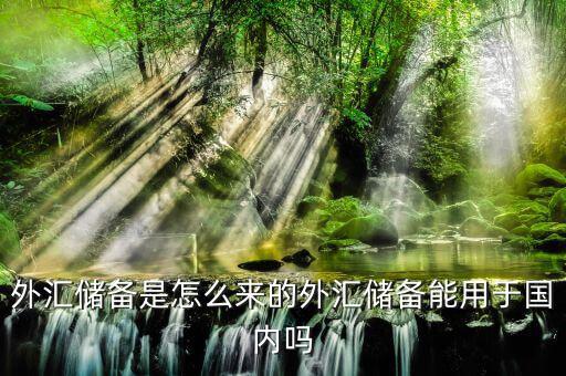 外匯儲(chǔ)備是怎么來的外匯儲(chǔ)備能用于國內(nèi)嗎