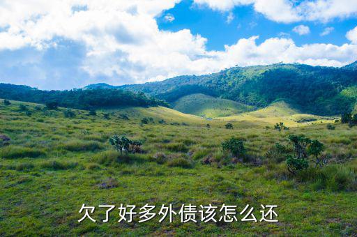 外面好多外債怎么辦,并且欠了很多外債