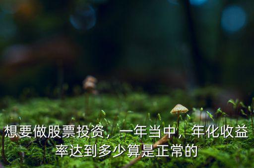 想要做股票投資，一年當(dāng)中，年化收益率達(dá)到多少算是正常的