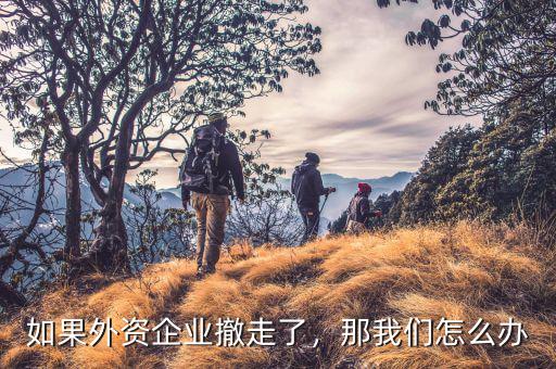 如果外資企業(yè)撤走了，那我們怎么辦