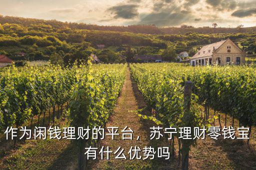 作為閑錢理財?shù)钠脚_，蘇寧理財零錢寶有什么優(yōu)勢嗎