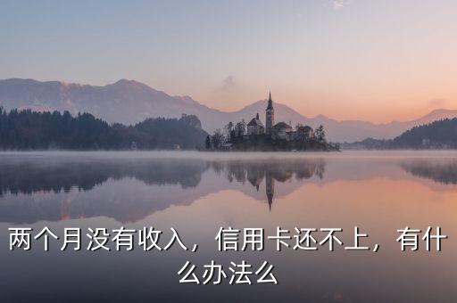 兩個(gè)月沒有收入，信用卡還不上，有什么辦法么