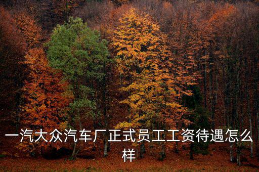 一汽大眾汽車廠正式員工工資待遇怎么樣