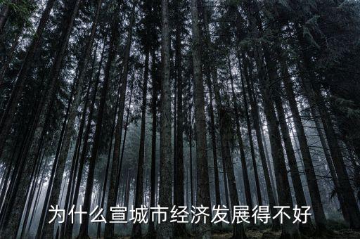 為什么宣城市經濟發(fā)展得不好