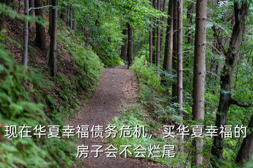 現(xiàn)在華夏幸福債務(wù)危機，買華夏幸福的房子會不會爛尾
