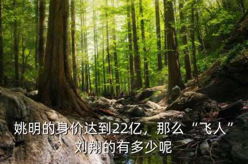 姚明的身價達(dá)到22億，那么“飛人”劉翔的有多少呢