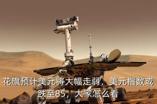 花旗預(yù)計(jì)美元將大幅走弱，美元指數(shù)或跌至85，大家怎么看
