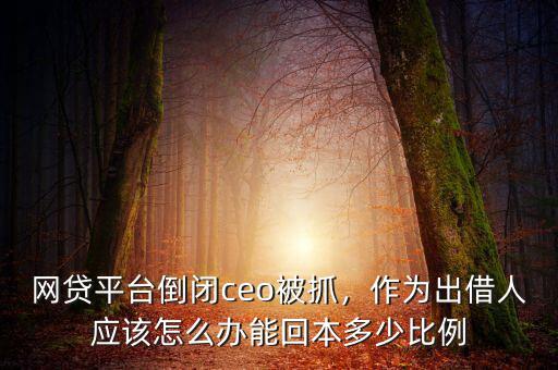 網(wǎng)貸平臺倒閉ceo被抓，作為出借人應(yīng)該怎么辦能回本多少比例