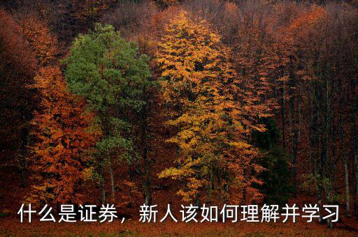 什么是證券，新人該如何理解并學(xué)習(xí)