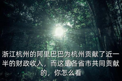 浙江杭州的阿里巴巴為杭州貢獻(xiàn)了近一半的財政收入，而這是各省市共同貢獻(xiàn)的，你怎么看
