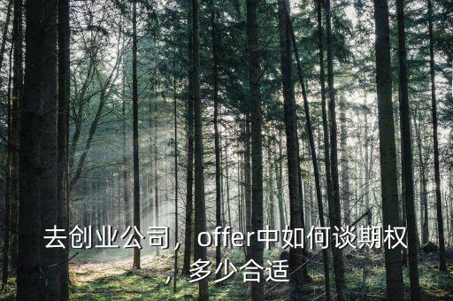 去創(chuàng)業(yè)公司，offer中如何談期權(quán)，多少合適
