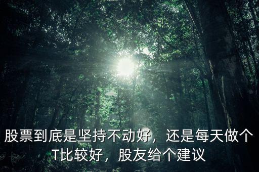 股票到底是堅持不動好，還是每天做個T比較好，股友給個建議