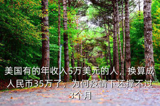 美國(guó)有的年收入5萬(wàn)美元的人，換算成人民幣35萬(wàn)了，為何疫情下還撐不過(guò)3個(gè)月