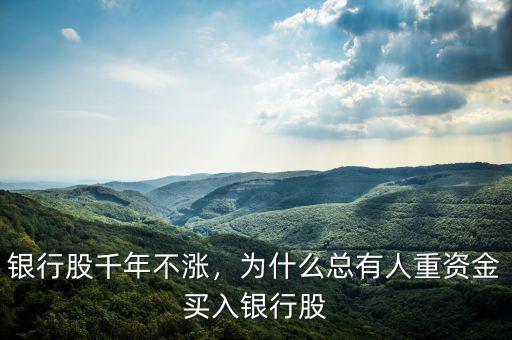 銀行股千年不漲，為什么總有人重資金買入銀行股