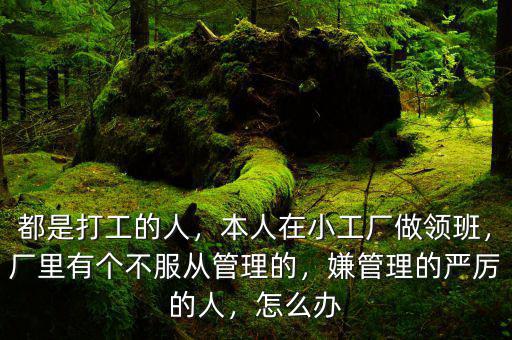 都是打工的人，本人在小工廠做領(lǐng)班，廠里有個不服從管理的，嫌管理的嚴(yán)厲的人，怎么辦