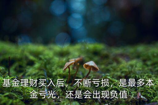 基金理財(cái)買入后，不斷虧損，是最多本金虧光，還是會出現(xiàn)負(fù)值