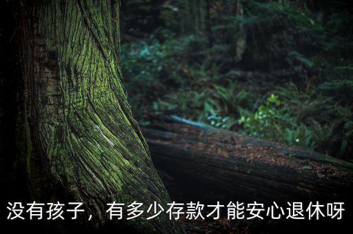 沒有孩子，有多少存款才能安心退休呀