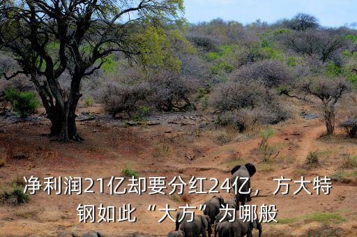 凈利潤21億卻要分紅24億，方大特鋼如此“大方”為哪般