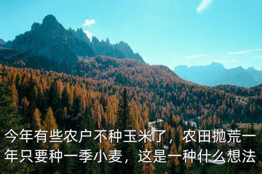 今年不種玉米種什么,今年有些農(nóng)戶(hù)不種玉米了