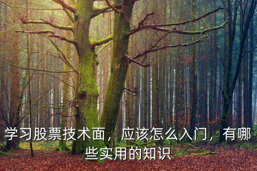 學習股票技術面，應該怎么入門，有哪些實用的知識