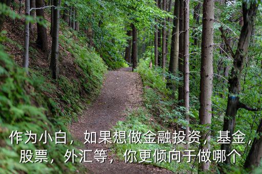 作為小白，如果想做金融投資，基金，股票，外匯等，你更傾向于做哪個